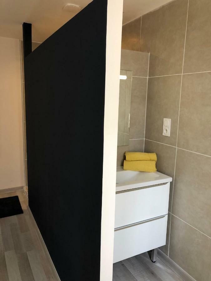 Fraichement Rénové, Spacieux, Quartier Calme, Le Cocon De Lena Carcassonne Extérieur photo